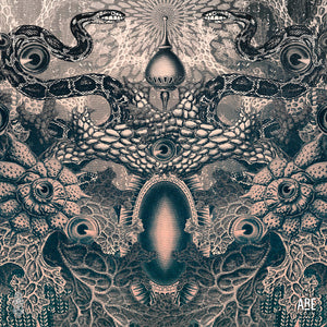 Vortex Visions