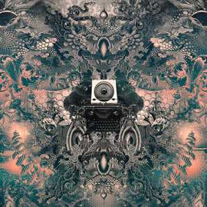 Vortex Visions